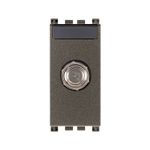 N10900196-1-