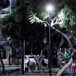 C13400024-2-