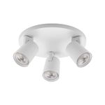 c22600028-v-637796127417800000-category-product-version-image