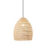 N10600029-1-