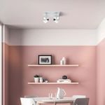 N10101042-3-
