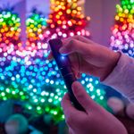 N11800008-3-