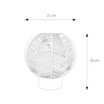 C35800026-3-