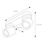 C33300036-4-