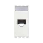 N10900302-1-