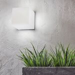 N11400029-2-