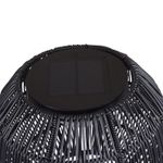 C16600054-4-