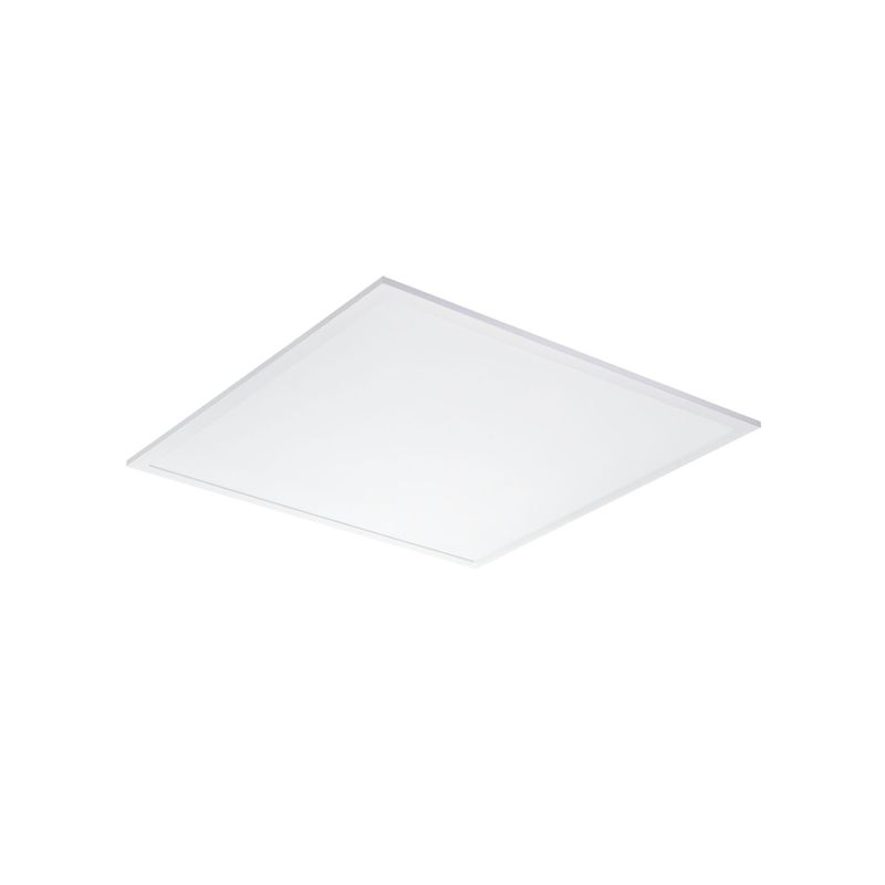 N10101568-1-
