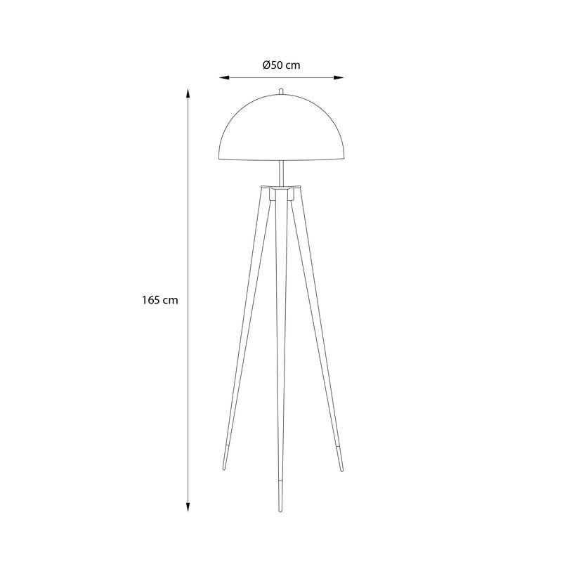 C36100021-8-