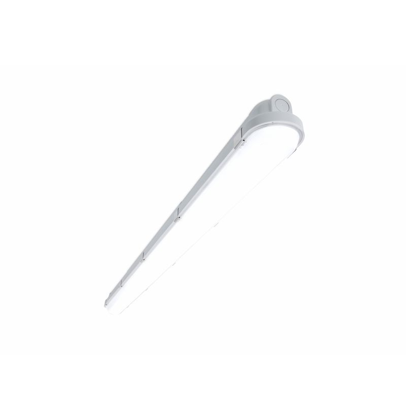 N10101544-1-