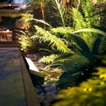 N10101305-3-