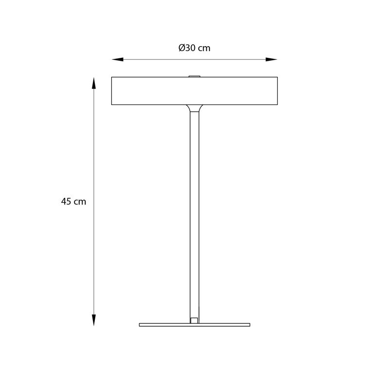 C33700028-3-
