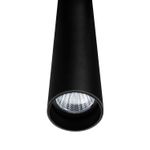 C24100049-3-