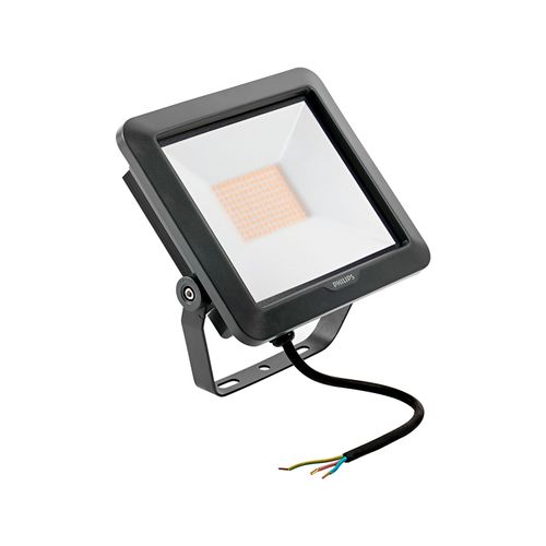 PROYECTOR PHILIPS ESSENTIAL 30W LUZ FRÍA IP65