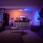 N10101662-2-