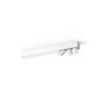 N10101662-3-