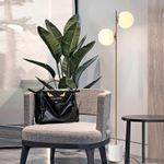 N10101648-2-