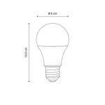 N10101648-3-