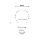 N10101663-3-