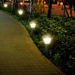 N10101669-2-