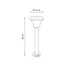 N10101669-3-