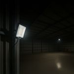 N10101678-2-