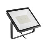 N10101498-1-
