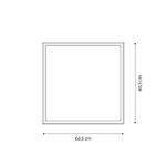 C17900221-4-