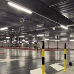 N10100819-2-