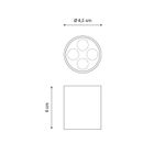 C36900004-3-