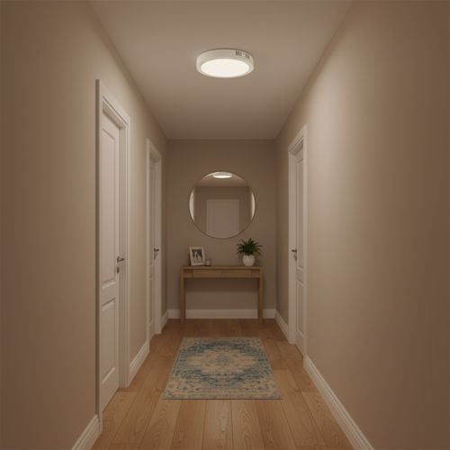 PLAFÓN PHILIPS SMARTBRIGHT REDONDO 22W LUZ CÁLIDA Ø29.5x4.5CM