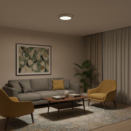 PLAFÓN PHILIPS SMARTBRIGHT REDONDO 11,5W LUZ CÁLIDA Ø22x4.5CM