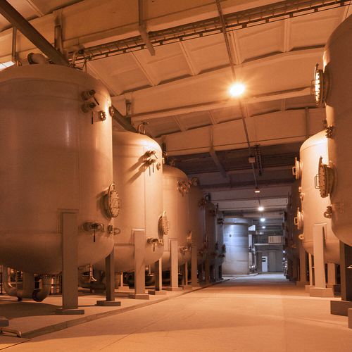 PROYECTOR PHILIPS SLIM BVP150 50W LUZ CÁLIDA IP65