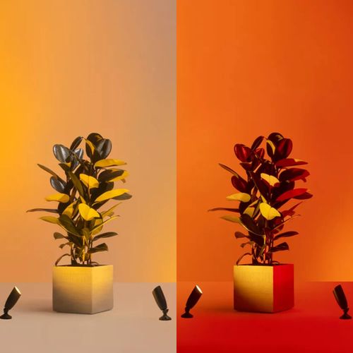 PROYECTOR WIZ EXTENSIÓN 4W RGB IP65