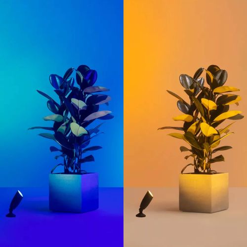 KIT DE INICIO PROYECTOR WIZ 10W RGB IP65