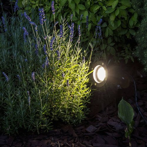 AMPOLLETA GU10 PHILIPS ESSENTIAL 4.9W LUZ CÁLIDA