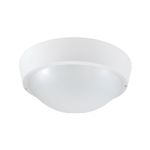 n10100969-1-v-637896341907330000-category-product-version-image