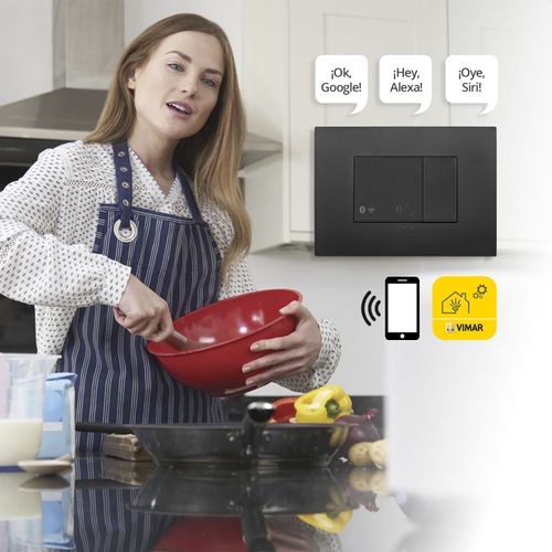 CONTROLADOR VIMAR SERIES RESIDENCIALES - VIEW WIRELESS ARKÉ GATEWAY 2 MÓDULOS